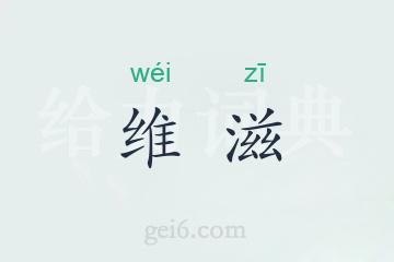 维滋