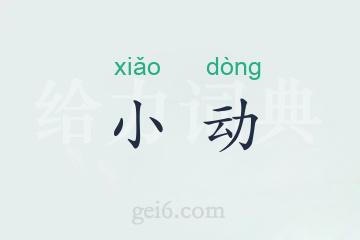 小动