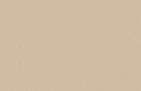 beige是什么意思_beige的中文翻译_音标_读音_用法_例句_在线英汉翻译 给力词典