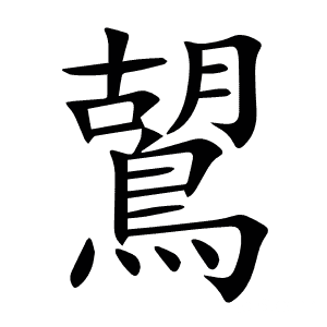 鶦